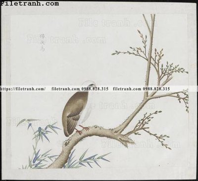 Ảnh gốc file in lụa buc anh hoa co chim muong mau sac nhe nhang 169 chi tiết