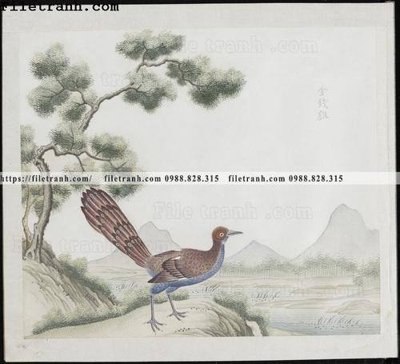 File tranh buc anh hoa co chim muong mau sac nhe nhang 180 (gốc) chủ đề tĩnh vật