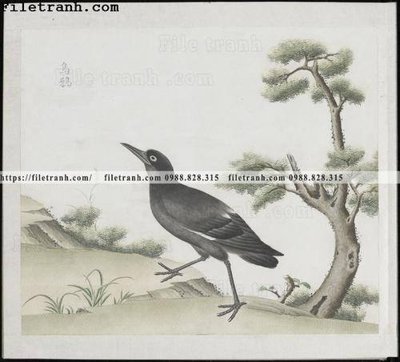 Hình ảnh file gốc buc anh hoa co chim muong mau sac nhe nhang 192 cho in UV