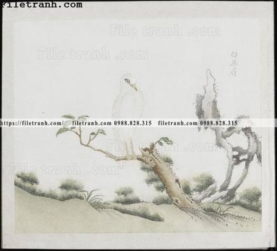 Tải file gốc buc anh hoa co chim muong mau sac nhe nhang 194 (bản PSD) chỉnh sửa được