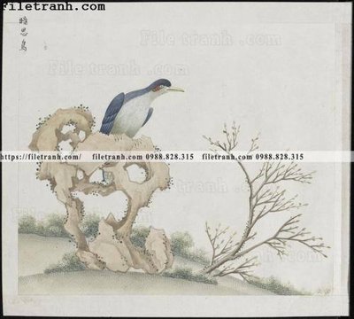 File gốc buc anh hoa co chim muong mau sac nhe nhang 214 (cho in ấn) từ kho Filetranh