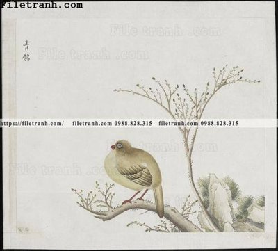 File gốc buc anh hoa co chim muong mau sac nhe nhang 215 (thiết kế) cho in ấn