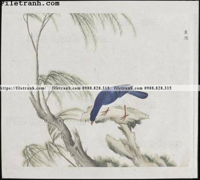 File gốc in tráng gương buc anh hoa co chim muong mau sac nhe nhang 218 chi tiết