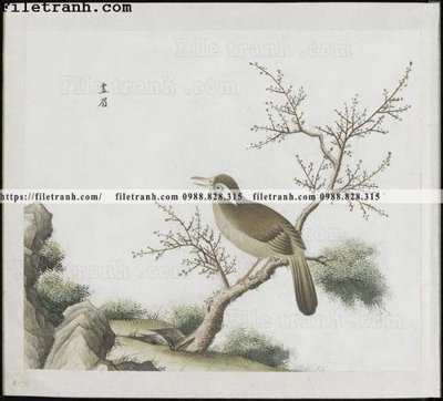 File tranh buc anh hoa co chim muong mau sac nhe nhang 232 (bản gốc) in canvas