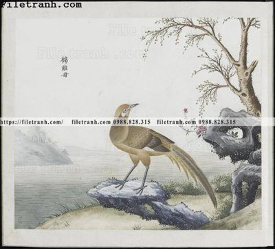 Download file gốc buc anh hoa co chim muong mau sac nhe nhang 234 (in mica) trong suốt