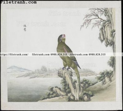 Tải file buc anh hoa co chim muong mau sac nhe nhang 258 (ảnh gốc) in tráng gương