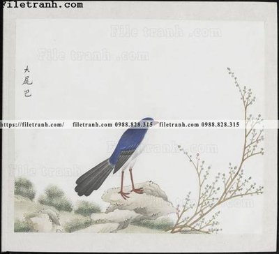 Tải về hình ảnh gốc buc anh hoa co chim muong mau sac nhe nhang 263 sắc nét