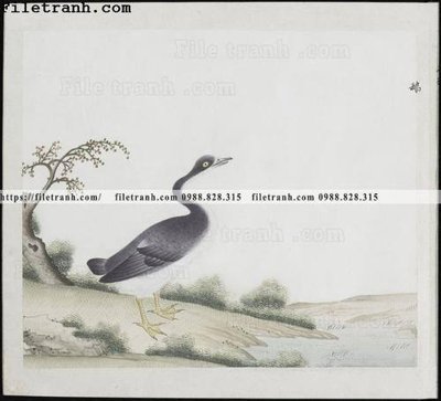 File ảnh buc anh hoa co chim muong mau sac nhe nhang 282 (gốc) dùng in Pano