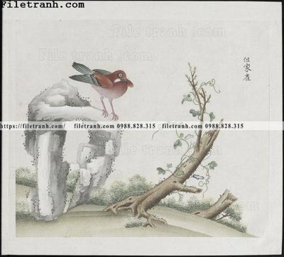 File gốc buc anh hoa co chim muong mau sac nhe nhang 311 cho in ấn và thiết kế