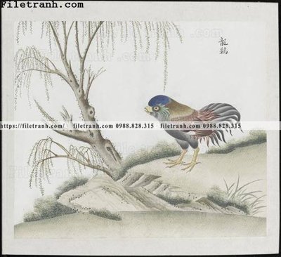 Tải file buc anh hoa co chim muong mau sac nhe nhang 319 (PSD) cho in ấn quảng cáo