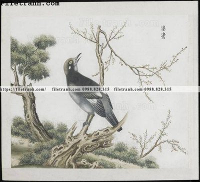 File PSD buc anh hoa co chim muong mau sac nhe nhang 320 (bản gốc) cho nhà in