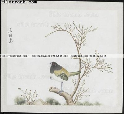 File gốc buc anh hoa co chim muong mau sac nhe nhang 335 (cho in UV) siêu nét