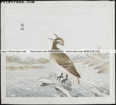 File gốc buc anh hoa co chim muong mau sac nhe nhang 344 (PNG) không nền chất lượng