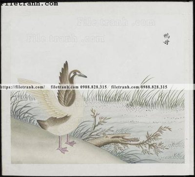 Download file tranh PSD buc anh hoa co chim muong mau sac nhe nhang 346 để chỉnh sửa