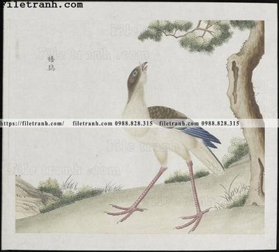 Mua file gốc buc anh hoa co chim muong mau sac nhe nhang 365 (PSD) tại Filetranh.com