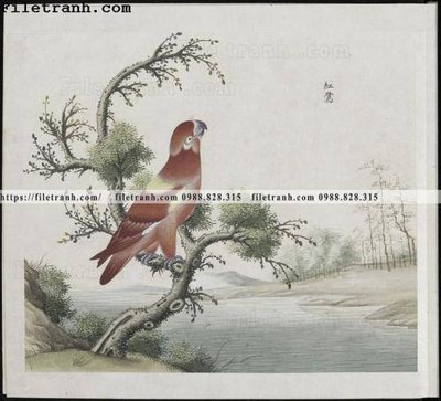 Tải file gốc buc anh hoa co chim muong mau sac nhe nhang 366 (in khổ lớn) không vỡ