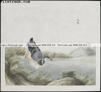 File ảnh buc anh hoa co chim muong mau sac nhe nhang 371 (gốc) trang trí khách sạn