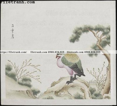 File in mica buc anh hoa co chim muong mau sac nhe nhang 380 (bản gốc) làm vách ngăn