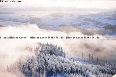 Tải file buc anh ve nguoi chup 503 (gốc) in ấn chất lượng