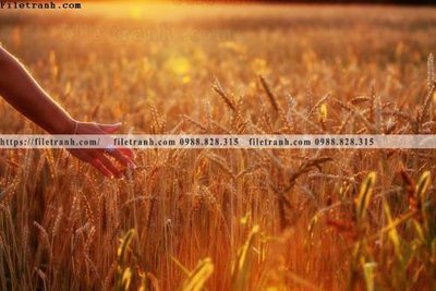 File tranh buc anh ve nguoi chup 572 (bản gốc) in lụa 3D