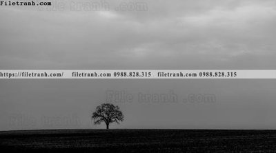 File in trần buc anh ve nguoi chup 585 (bản gốc) bầu trời