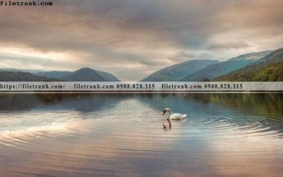 Mua file gốc buc anh ve nguoi chup 607 (in ấn) tại Filetranh.com