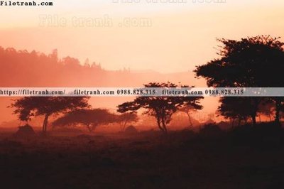 File ảnh buc anh ve nguoi chup 609 (gốc) in biển hiệu