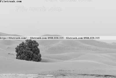 File in trần buc anh ve nguoi chup 614 (bản gốc) phong cảnh