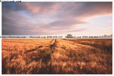 File PSD buc anh ve nguoi chup 618 (gốc) cho designer