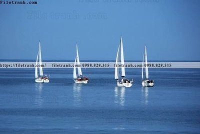 File in mica buc anh ve nguoi chup 630 (bản gốc) làm vách ngăn