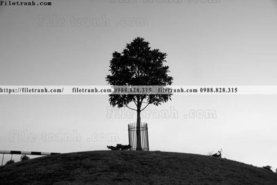 Tải file buc anh ve nguoi chup 640 (ảnh gốc) độ phân giải 300dpi