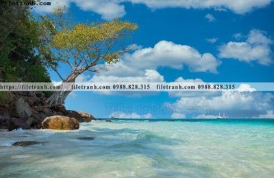 Tải file buc anh ve nguoi chup 652 (ảnh gốc) in gạch men