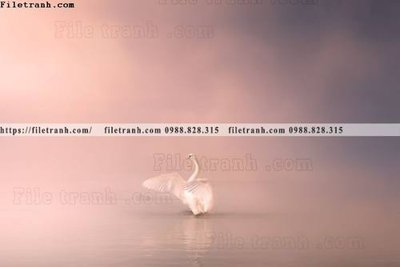 Ảnh gốc buc anh ve nguoi chup 673 (nét căng) in mica