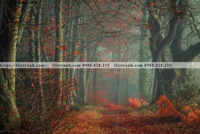 Hình ảnh file gốc buc anh ve nguoi chup 710 cho in UV