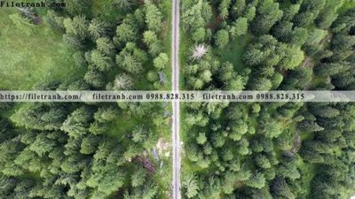 File in mica buc anh ve nguoi chup 715 (bản gốc) sắc sảo