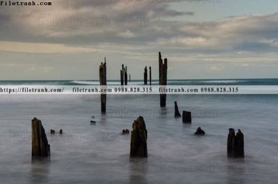 File tranh gốc buc anh ve nguoi chup 718 (bản đẹp) độc quyền