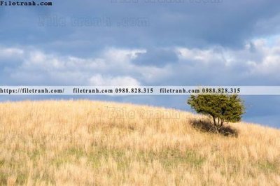 Tải file buc anh ve nguoi chup 725 (gốc) in ấn ngay lập tức