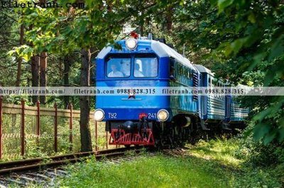 File gốc buc anh ve tau hoi nuoc 144 (in 3D) nghệ thuật