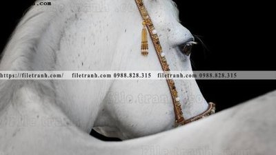 File ảnh buc tranh 1 con ngua son dau dep 504 (gốc) in Hiflex