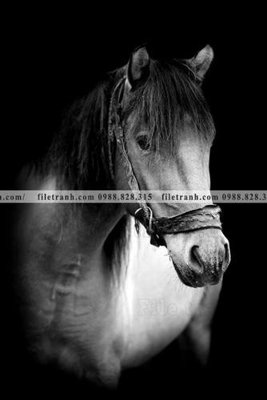 Chi tiết file tranh tráng gương buc tranh 1 con ngua son dau dep 509 (ảnh gốc)