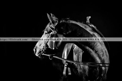 Chi tiết file tranh tráng gương buc tranh 1 con ngua son dau dep 511 (ảnh gốc)