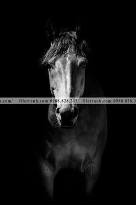 File PSD buc tranh 1 con ngua son dau dep 522 (bản gốc) dễ dàng edit