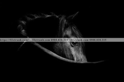 Tải file buc tranh 1 con ngua son dau dep 523 (ảnh gốc) độ phân giải 300dpi