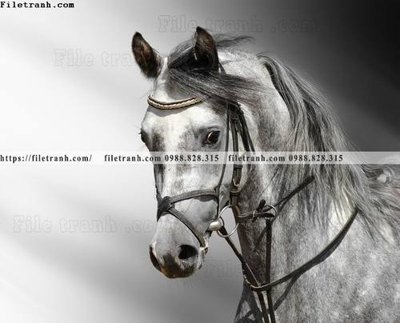 Tải file buc tranh 1 con ngua son dau dep 526 (gốc) chủ đề tôn giáo