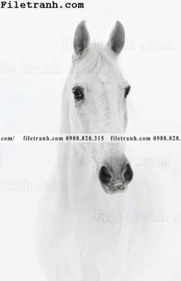 Download file tranh buc tranh ngua den trang 130 (file gốc PSD)