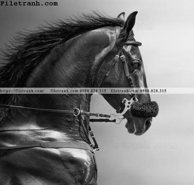 File tranh gốc buc tranh ngua den trang 134 (sắc nét từng chi tiết)