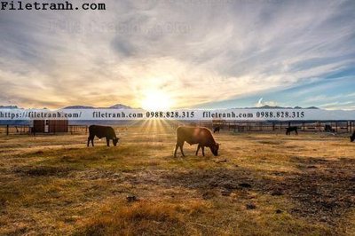 Tải file buc tranh phong canh nong thon 115 (PSD) cho in ấn quảng cáo