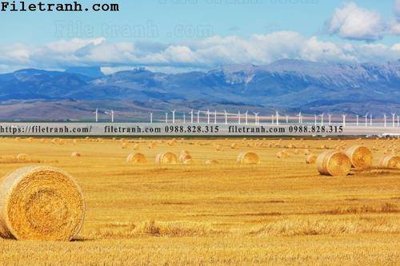 Tệp tin gốc buc tranh phong canh nong thon 143 (chất lượng cao) buc tranh phong canh nong thon 143