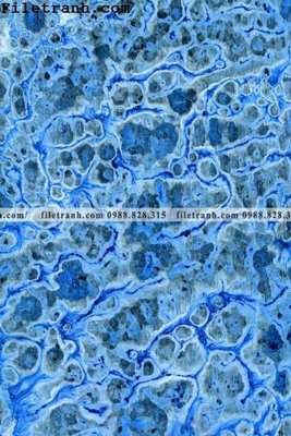 Download file gốc buc tranh truu tuong chat long 112 (dùng cho in ấn)