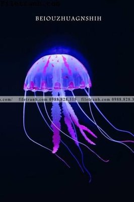 Hình ảnh file gốc ca vang mau sac sang trong nhe nhang 115 (chất lượng cao)